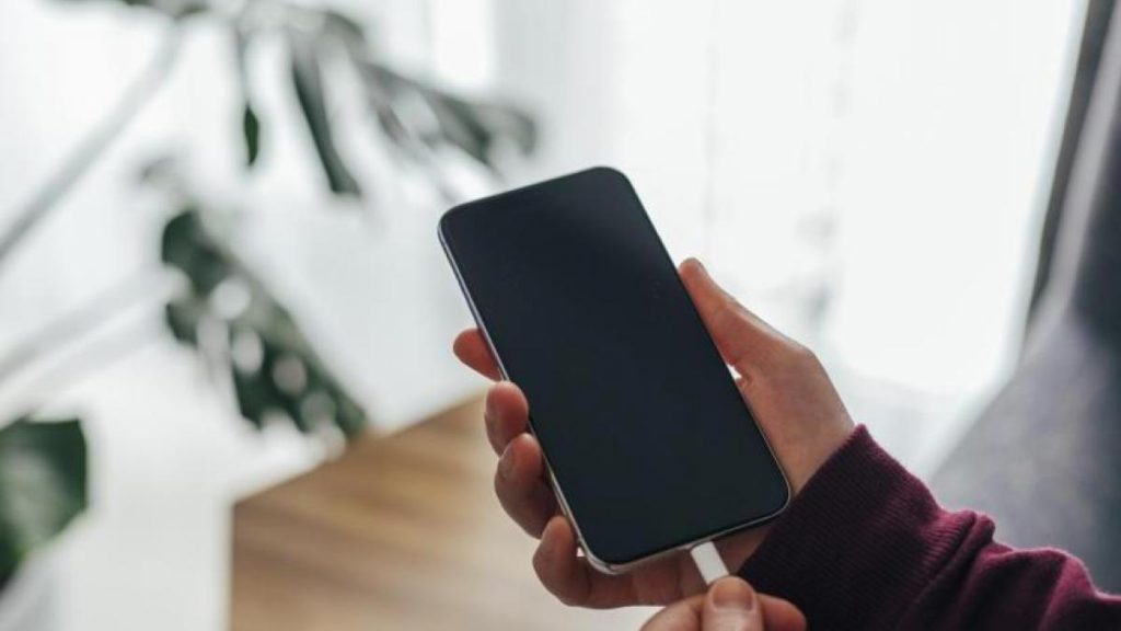 Prolongar la vida de tu iPhone 3